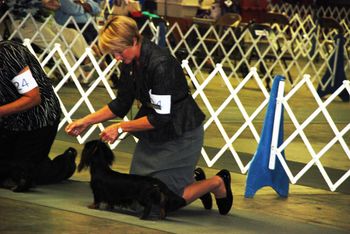 Caper in the ring on the day she finished.
