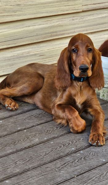 Natty relaxing.
