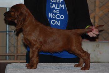 Green boy at 7 weeks.
