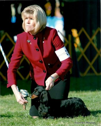 "Sonny" Galewinns Kaycees Sundance Kid ML Owner: Lena Tamboer New Jersey Being shown by Pam Derosier in December 2010.
