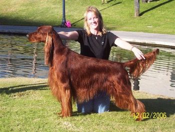 Bagger at the Eukanuba Classic Dec. 2006
