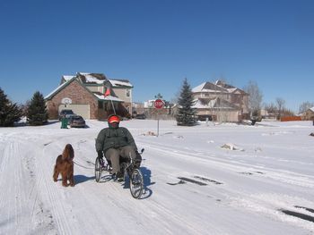 Katie gets a bike ride with her "dad" everyday - wish I was in as good a shape as she is!!! The weather was bitter cold this day. Feb. 2011
