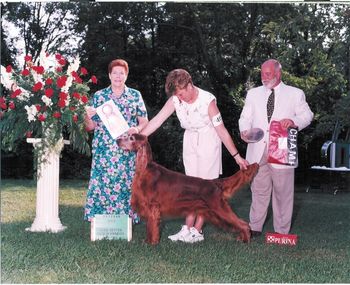 Travis winning the veterans competition at the 2002 Irish Setter National in Kentucky.

