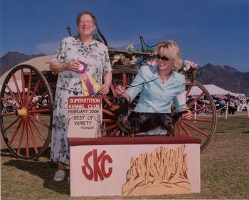 "Shasha" CH. Kaycees Galewinns Pucker Up MLD (BISS AM/CAN CH. Souvenir of Wagsmore ROMX x CH. High Plains Giddy Up MLD ROMX)
