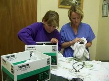 Sherry (left) and me (right) working with the puppies - they were pretty sedated after the c-section.
