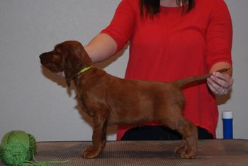 Line green girl at 6 weeks.
