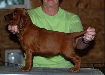 Pink girl at 5 wks old.
