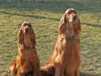 Rio (Indy's mom) on the left and Trent (Indy's dad) on the right.
