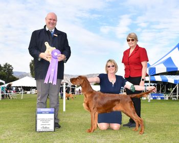 Natty winning her first major at her first show at 6 months old.
