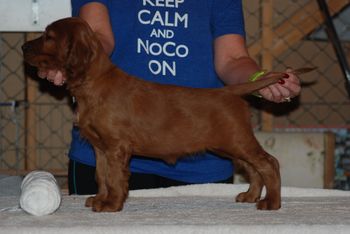 White girl at 7 weeks.
