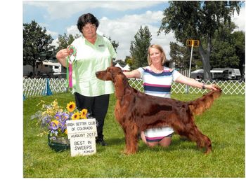 Rake goes Best In Sweeps at the Colorado Irish Setter Specialties.
