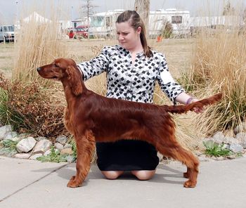 PJ at 6 mo old.  She won her first point this day.  April 11, 2014
