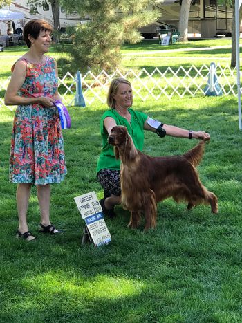 Avery at the Greeley Specialties in Aug. 2018.
