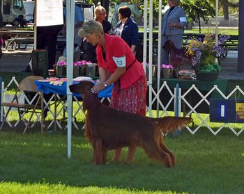 Bode being shown at the Greeley, CO specialty in Aug 2010.
