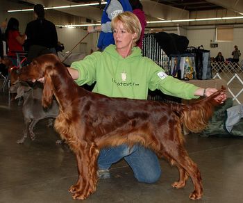 Kash being stacked at a fun match. She is 15 months old here. Jan 2013
