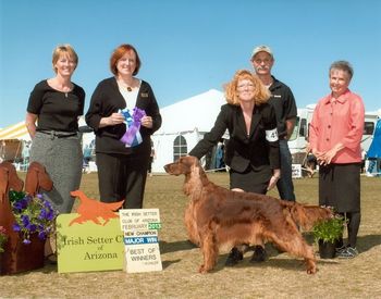 "Izze" Galewinns Tramore Style N Grace Izze finishing her championship with her third major at the Scottsdale Specialty in Feb. 2013. Congrats to Lora and Dusty - you did a fantastic job with her. Owners: Lora & Dusty Erickson Scottsdale, AZ
