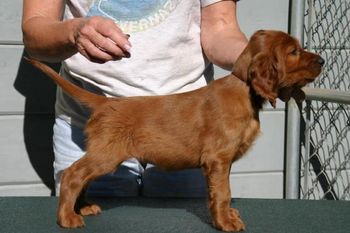 Brown Boy First stack at 6 weeks
