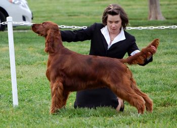 Shea showing Bode in California in April 2010.
