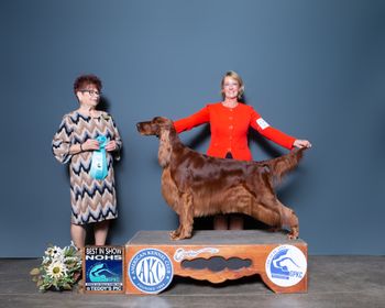 Ownder Handler Best In Show! j. Debbie Melgreen Oct. 2023
