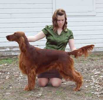 Rio being stacked by Shea at the Scottsbluff show. She now has 10 points with both of her majors. April 2011
