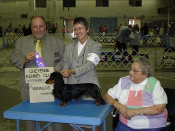 "Doogie" (Click on Doogie's name to go to his page) Ch. Galewinns Kaycees Yankee Up ML (Ch. Souvenir of Wagsmore x Ch. High Plains Giddyup) Whelped 10/18/06
