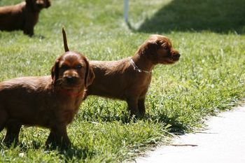 Red boy & Sage girl.
