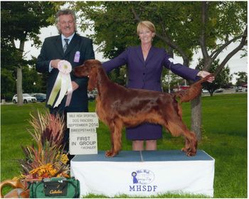 Bartley wins a Sweepstakes Group 1 at the Mile-Hi Sporting Dog Show! Sept. 2014
