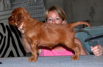 Pink girl at 5 weeks old.
