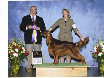 "Gabby" BISS Ch. Roclyn Vivacious JH (Ch. Roclyn Grounds Keeper x Ch. Rusticwoods Keepsake)
