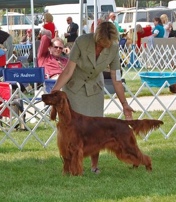 Rio at the Longmon show in June 2011.
