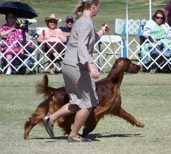 Bravo in the ring at the National. Gotta love the reach!!
