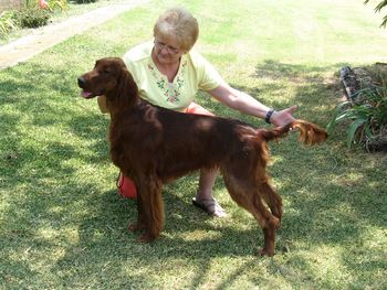 "Tex" pictured at 10 months old.
Galewinns Should A Been A Cowboy
Owner:  Beth Shirley
Texas
Aug 2013
