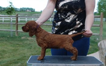 Purple girl at 6 wks.
