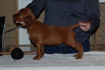 Black boy at 6 weeks old.
