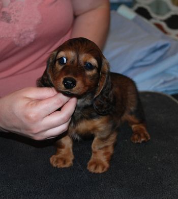 The girl's head at 8 weeks old.
