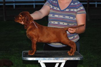 Purple girl at 8 wks.
