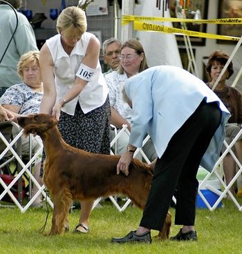 Rio being examined in regular classes at the National. June 2010
