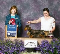 Willy going second in his class at the national.  He went second to his brother Rascal!! May 2013
