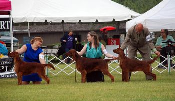 PJ is 8 months old in these picutres at the National in Ohio.
