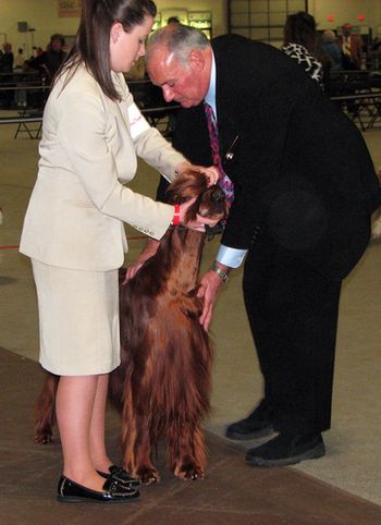 Shea presenting Bagger to the judge.
