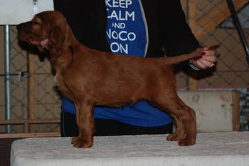 Black boy at 7 weeks.
