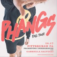 PHANGS Fall Tour 