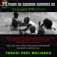 25 Years by Fungai Paul Malianga 