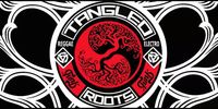 Tangled Roots with Justin Fox