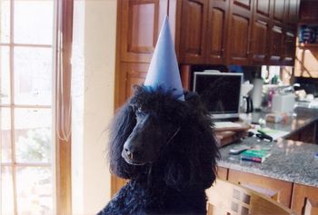 Wildgayle Jukebox - having a birthday surprise
