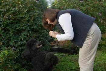 Wildgayle's Elizabeth - 'Lizzie' getting some instruction
