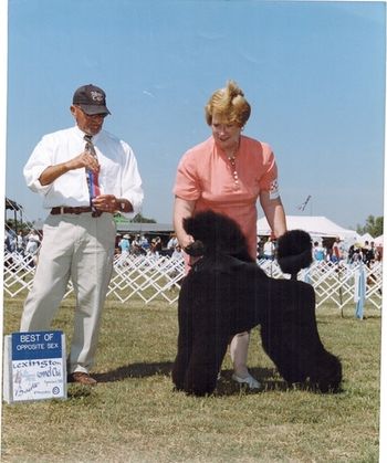Banker Puppy win
