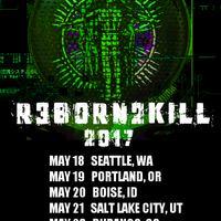 R3B0RN2K1LL 2017 TOUR  VIP LAMINATE: SIGNED!