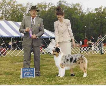 Winners dog at Chesapeake Virginia Dog Fanciers Association show, April 30,2005 under Judge Arley Hussin.
