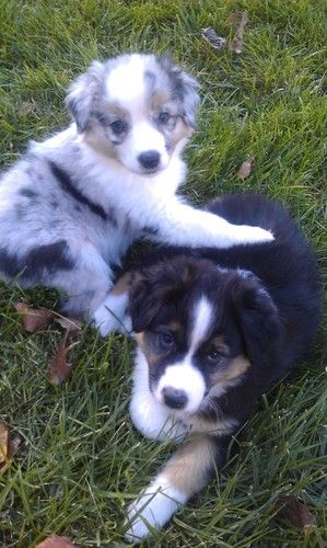 Jack and sister Daphne.
